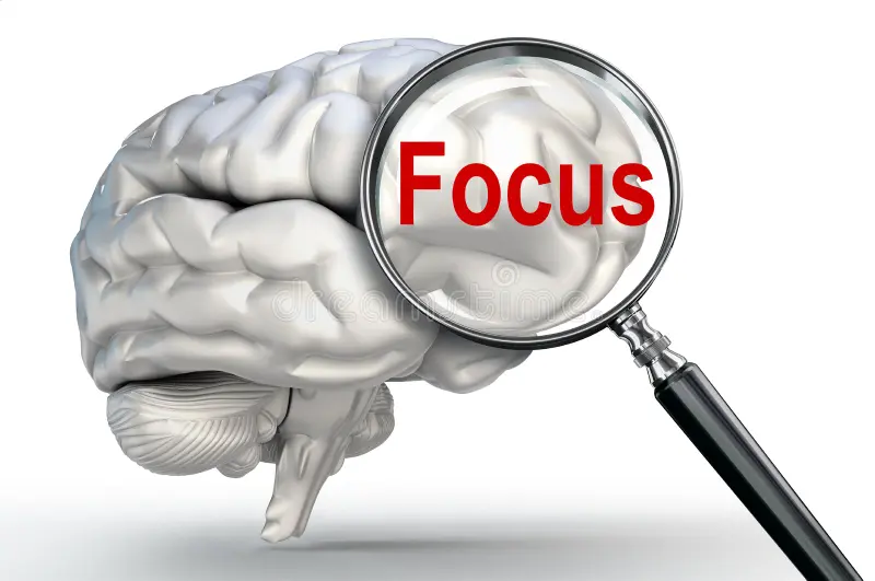 focus word magnifying glass human brain white background 50692825